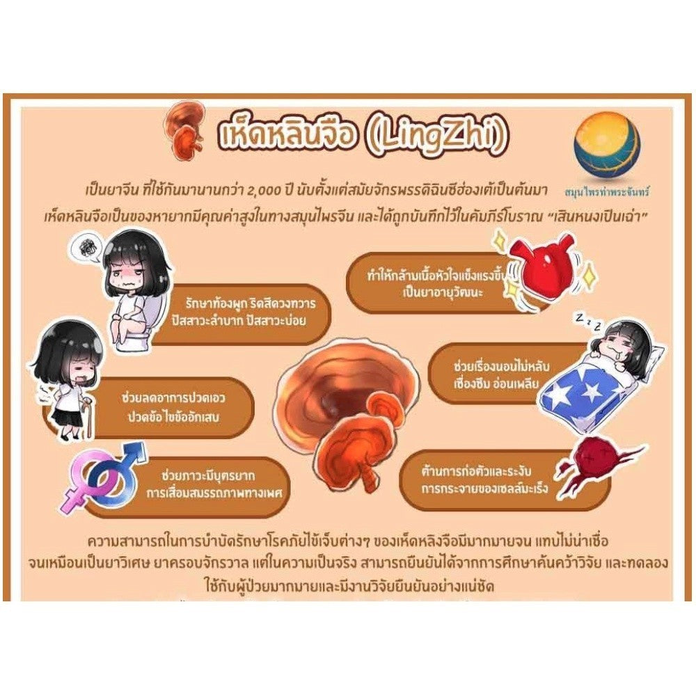 เห็ดหลินจือผง เห็ดหลินจือแดงผง ผงเห็ดหลินจือ เกรดสีเข้ม AAA เนื้อผงหนัก ไม่ฟู