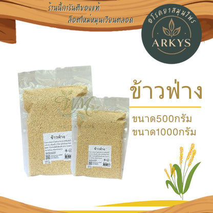 ข้าวฟ่าง  ธัญพืช ขนาด500/1,000กรัม(ข้าวฟ่าง ไม่กระเทาะเปลือก ไม่เหมาะสำหรับทำอาหาร) สุขภาพ