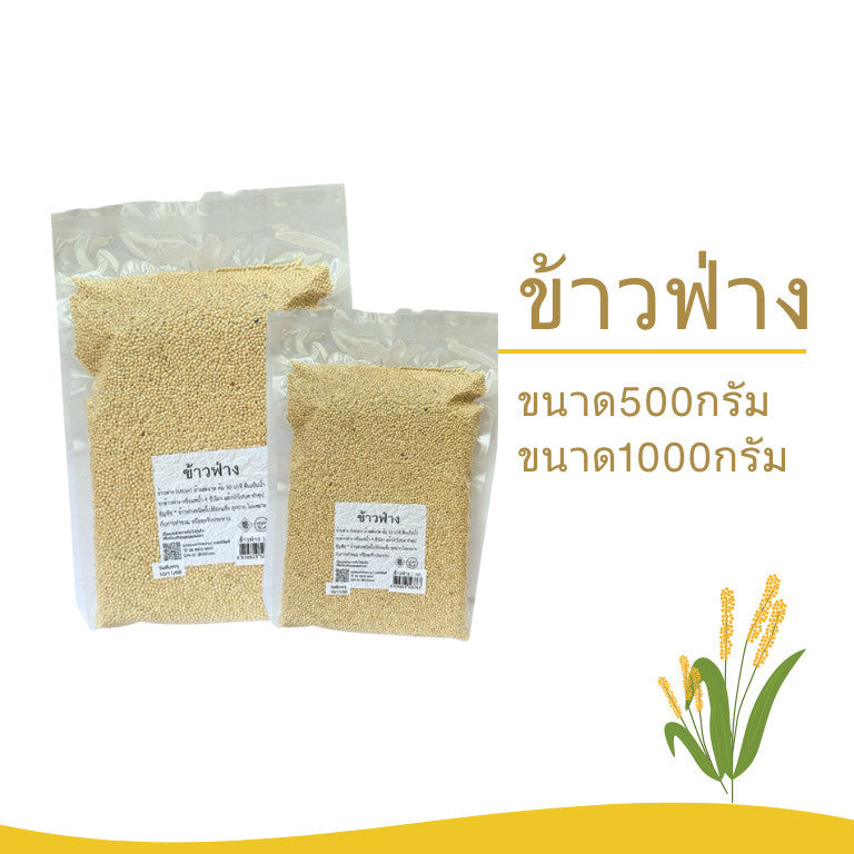 ข้าวฟ่าง  ธัญพืช ขนาด500/1,000กรัม(ข้าวฟ่าง ไม่กระเทาะเปลือก ไม่เหมาะสำหรับทำอาหาร) สุขภาพ