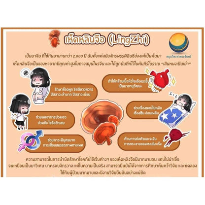 เห็ดหลินจือผง เห็ดหลินจือแดงผง ผงเห็ดหลินจือ เกรดสีเข้ม AAA  เนื้อผงหนัก ไม่ฟู