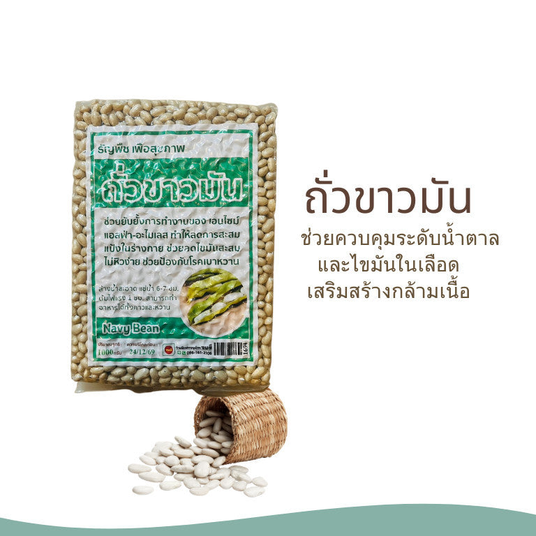 (1ชิ้น)ถั่วขาวมัน ขนาด 1000กรัม ถั่ว สุขภาพ