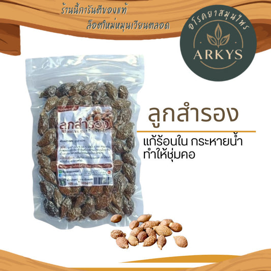 ลูกสำรอง เม็ดสำรองอบแห้ง MALVA NUTขนาด100กรัม